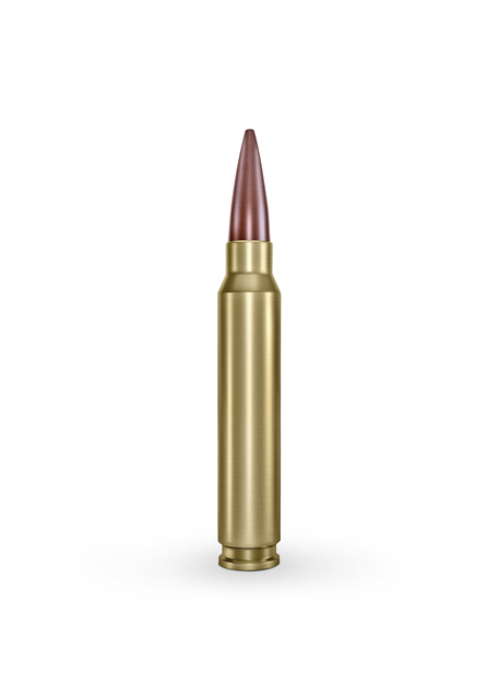 1 morto e 1 ferido após tiroteio na quadra de basquete de Hillsborough