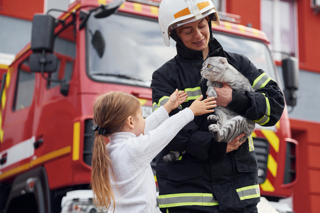 Várias unidades respondem a incêndio em Venice, 2 gatos são resgatados
