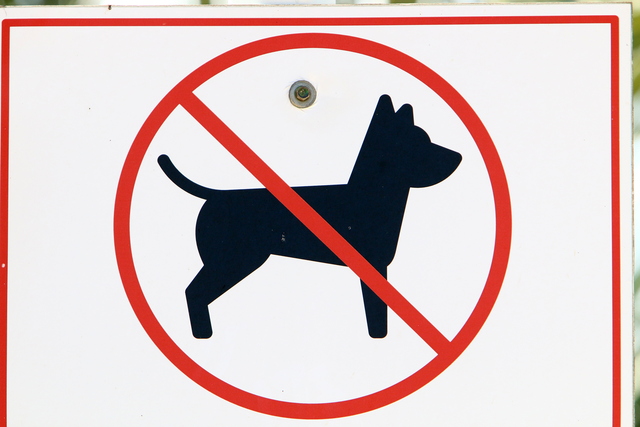 Mulher hospitalizada após ataque de cão em Fort Lauderdale