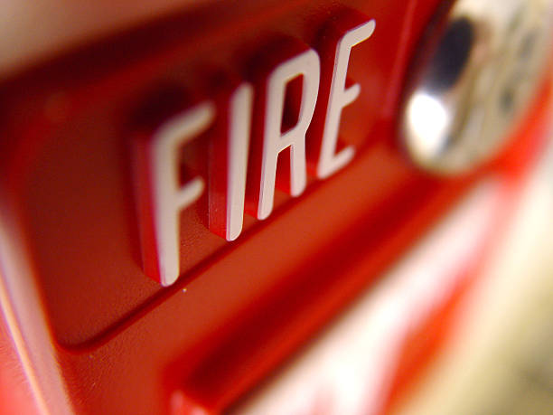 Duas pessoas desalojadas e um cão resgatado após incêndio em apartamento em Fort Lauderdale