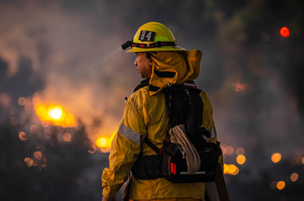Incêndio destrói loja Family Dollar em Immokalee durante o feriado de 4 de julho