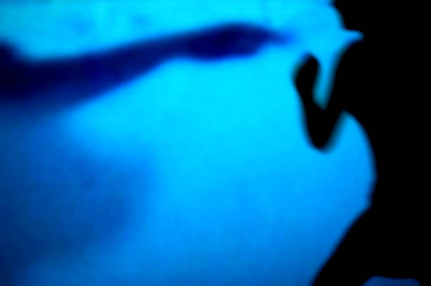 Um ferido em tiroteio da polícia em Wilton Manors após briga doméstica