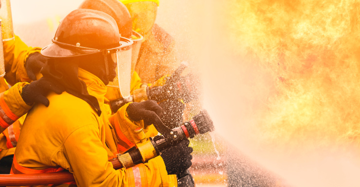 Bombeiros de Hillsborough resgatam cachorro de casa em chamas