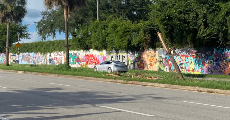 Carro Colide com Árvore Memorial em Homenagem às Vítimas de Assassinato de Estudantes em Gainesville