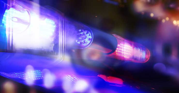 Jovem de 18 anos é preso por atacar homem com espada, dizem policiais de Gainesville