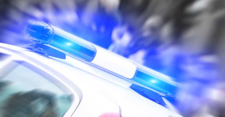 Homem acusado de arremessar garrafas em loja de bebidas em Palm Coast e cuspir em policiais