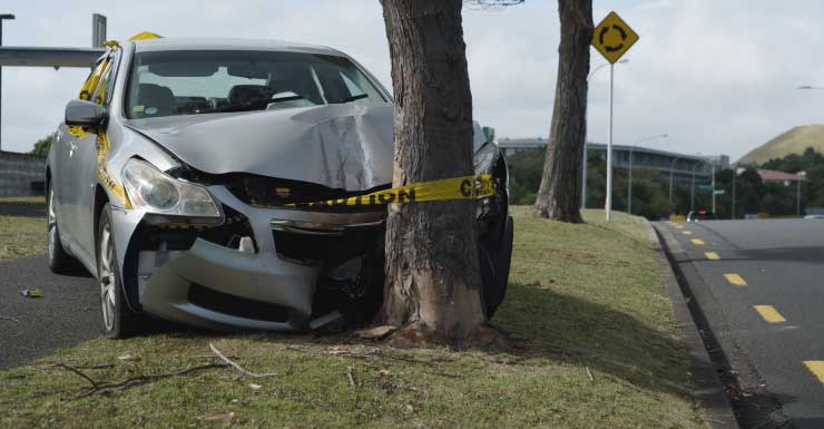 Homem de 74 anos de Old Town morre após bater em árvore