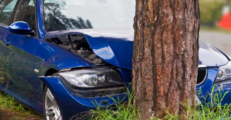 Motorista morre após colidir com árvore perto da comunidade Aberdeen