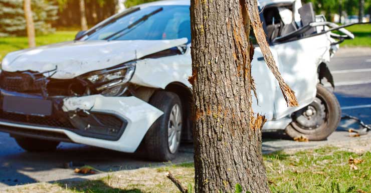 Acidente no Condado de Orange deixa 9 crianças hospitalizadas após carro bater em árvore