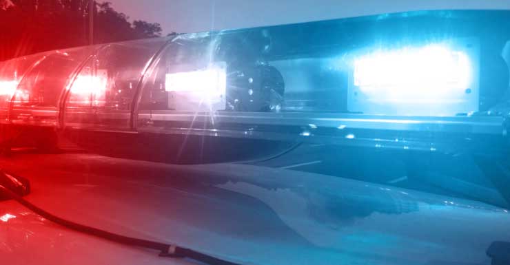 Homem da Flórida atira em mulher, é agredido pelo marido após convite para jogar cartas Afidávit