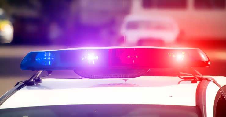 Mulher da Flórida é acusada de abusar da madrasta idosa; vítima foi agredida e mantida em confinamento, dizem autoridades