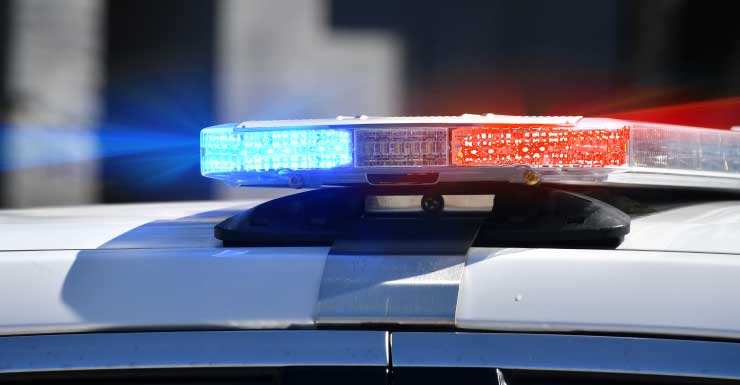 Mulher de Hialeah é presa após mãe de 77 anos ser encontrada comendo as próprias fezes, dizem policiais