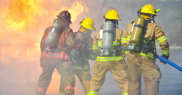 Cão da família é resgatado de incêndio em casa em Palm Coast e se recupera em hospital veterinário
