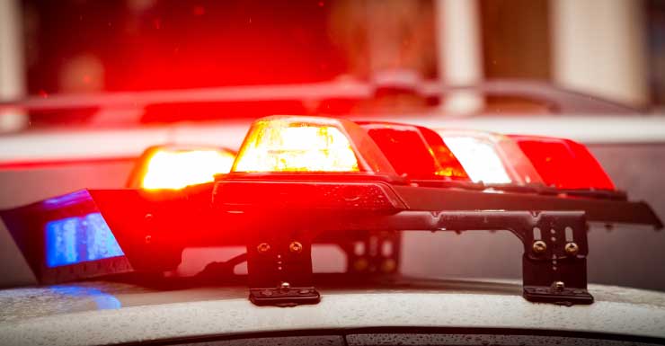 Tenente da Polícia de Hollywood é acusado de agressão a idosa, segundo registros