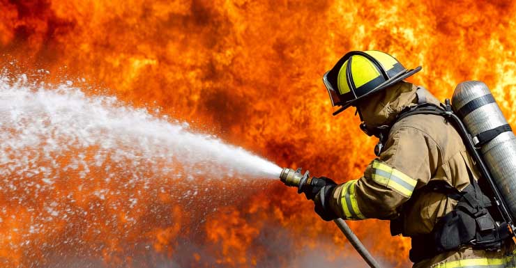 Bombeiros resgatam animais de incêndio em casa em Jupiter