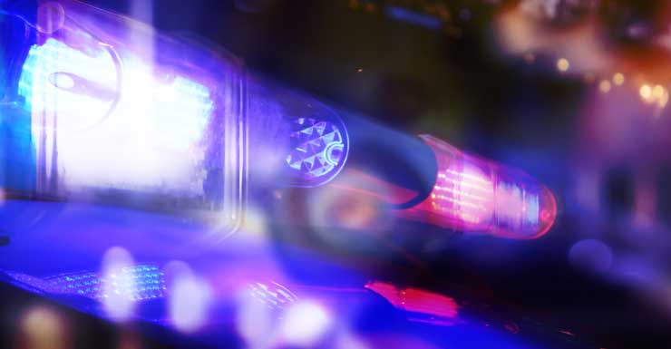 Homem de Coral Springs tenta matar mãe com frigideira após diagnóstico de demência, dizem policiais