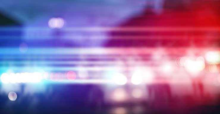 Homem de Spring Hill é preso por matar filhote de gato durante disputa doméstica HCSO