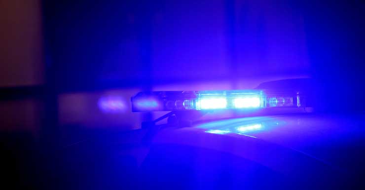 Marido da atriz Devon Aoki fere homem em atropelamento em Coral Gables, dizem autoridades