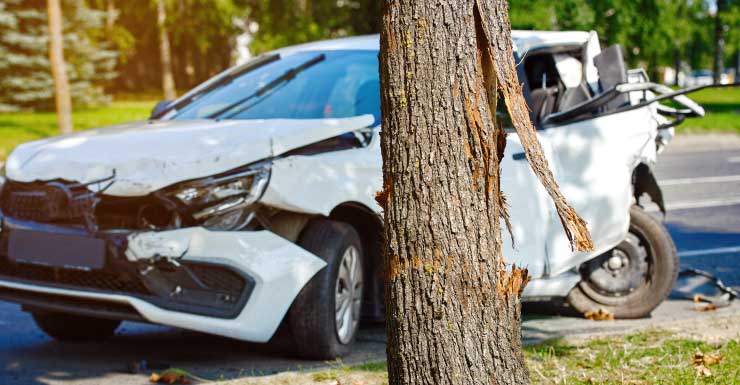 Homem de Gainesville morre após colidir com árvore