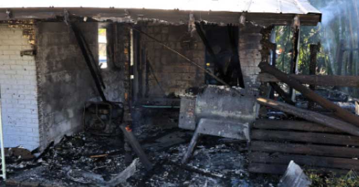 Incêndio em casa em Tampa deixa gato morto e salva 5 outros animais HCFR