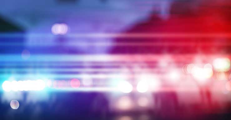 Mulher é acusada de provocar incêndio em casa que matou cachorro em Lehigh Acres