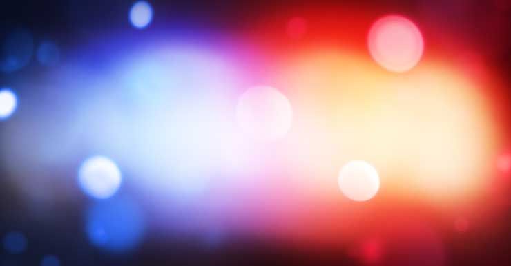 Mulher é mordida no rosto em Oxford Downs no Dia de Ano Novo