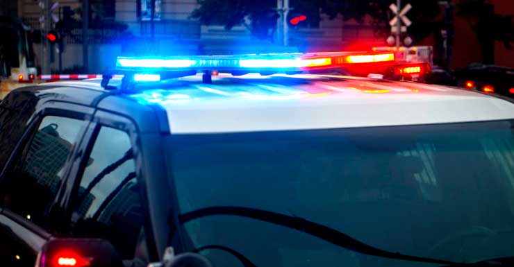 Mulher de Lehigh Acres acusada de atropelamento e fuga tomou banho na piscina de um desconhecido antes de chutar cães