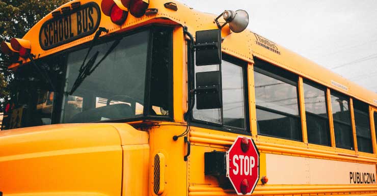 Ônibus escolar atropela e mata vaca no Condado de Manatee
