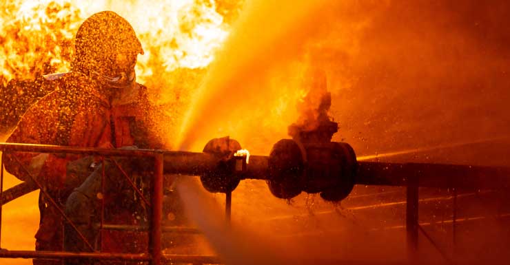 2 cães são resgatados de incêndio em apartamento em Plantation