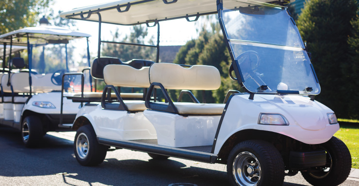 Adolescente de Lakeland sofre fraturas após carrinho de golfe de 900 libras virar e cair sobre ela