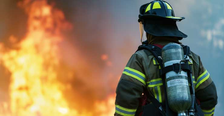 For the Love of Paws cat rescue destruída por incêndio em Fellsmere; 11 gatos mortos na Treasure Coast