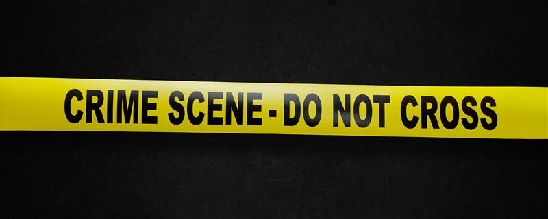 Homem de 82 anos é preso após esposa ser morta a marteladas no Condado de Lake, dizem autoridades