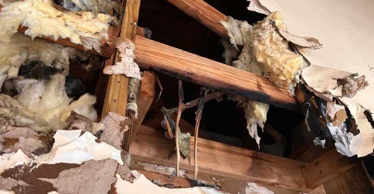 Dez pessoas ficam desalojadas após incêndio em casa em Boynton Beach, Cruz Vermelha presta assistência.
