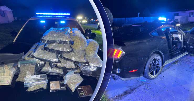 Motorista é preso após perseguição em alta velocidade na I-75 terminar em acidente; FHP encontra grande quantidade de maconha.