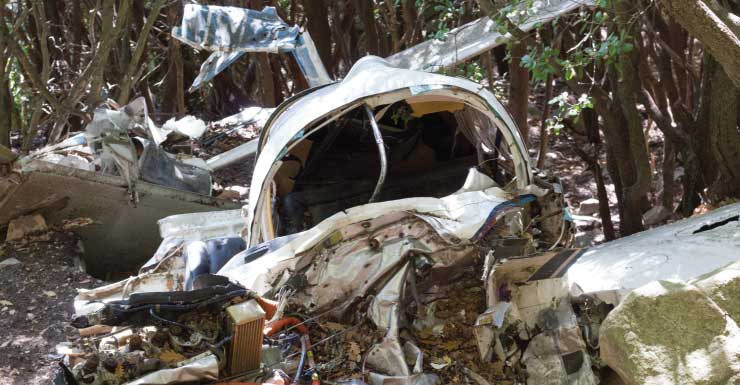 Tragédia horrível’ Pequeno avião cai no Condado de Polk e deixa 1 morto.