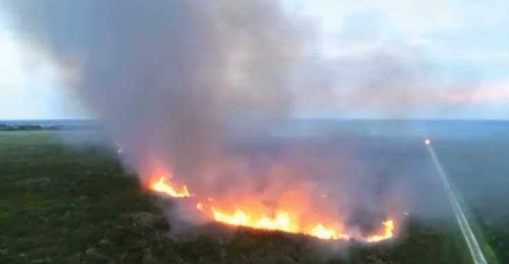 Bombeiros combatem incêndio florestal de 75 acres no Condado de Martin