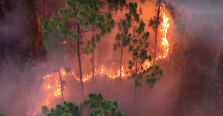 Equipes combatem incêndio florestal próximo à SE 24th Ave. e SE 12th St. em Cape Coral