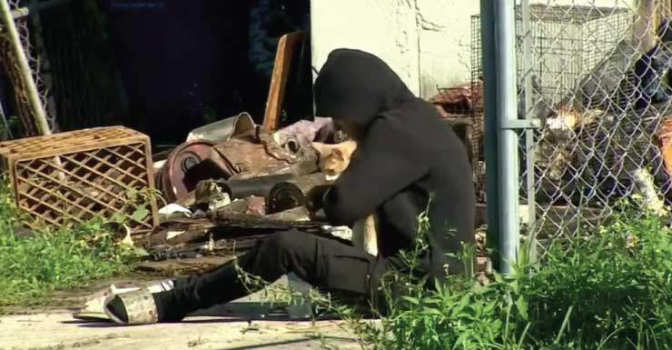 2 gatos morrem, homem idoso é hospitalizado e família é desalojada após incêndio atingir casa no noroeste de Miami-Dade