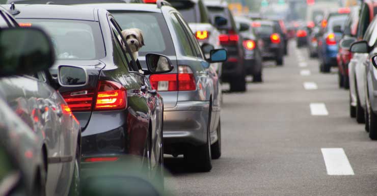Hwy 71 em Wewahitchka é reaberta após acidente de trânsito